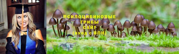 Альфа ПВП Мегион