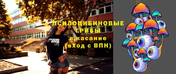 Альфа ПВП Мегион