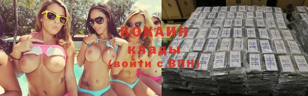 твердый Михайловка
