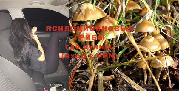 экстази Медвежьегорск