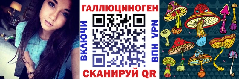 Галлюциногенные грибы GOLDEN TEACHER  наркота  Никольск 